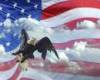 American flag and eagle