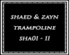 =S= Trampoline ShaedZayn