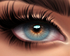 Eyes - Aqua