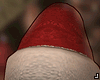 Santa Claus |Hat