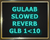 P.GULAAB SLOW REVERB