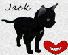 Jack the Cat (pet)