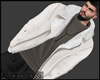 Jacket Windbreaker αβ