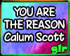 You Are The Reason-Calum