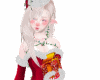 Christmas Gift