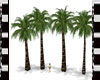 Palm Tree line of 4