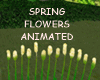 SPRING FLOWERS ANIMATED