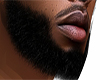 beard drk