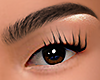 Eyebrows ⁴