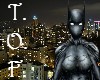Batgirl Midnight Mask