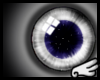 [S]Lugia Eyes-F