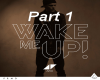 Avicii - Wake Me Up 1