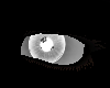 Inverted Eye