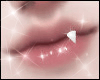 kitty tooth