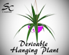 SC Derivable Plant