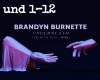 Brandyn B.: Underneath