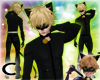 CatNoir / ChatNoir