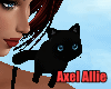 AA Black Shoulder Kitty