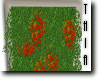 Wall Plants