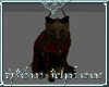[A] Little Warrior Cat