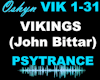 Vikings-John Bittar