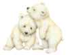 [HF]The Bears