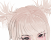 shiro