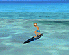 23 SURF BOARD