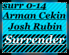 Surrender (Armin Cekin,