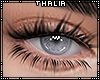 v. Thalia Lashes LY