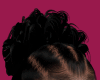 Z} Nova Hairs