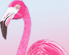 [EID] Flamingo Summer