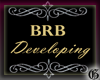 BRB Developing ||G