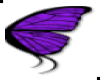 .MM.Bfly Wings-Purple