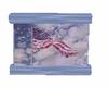 USA Flag Aqua Frame