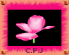 pink shinny flower chiar