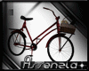 [ A ] Country Bicycle