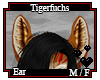 Tigerfuchs Ears