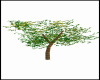 DJ TREE AVI