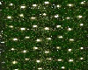 Ivy Plant + Light