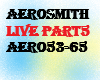 Aerosmith live5