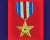 [FBS] Silver Star Medal