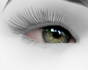 🖤Green eye Realistic3