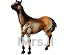 Buckskin Animated Horse