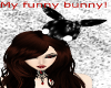 black and white bunny