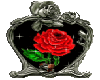 heart rose