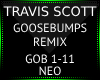 TS! Goosebumps Remix