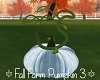 Fall Farm Pumpkin 3
