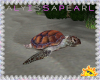 Summer Sea Turtle