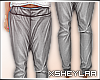 $ Baggy Pants | grey